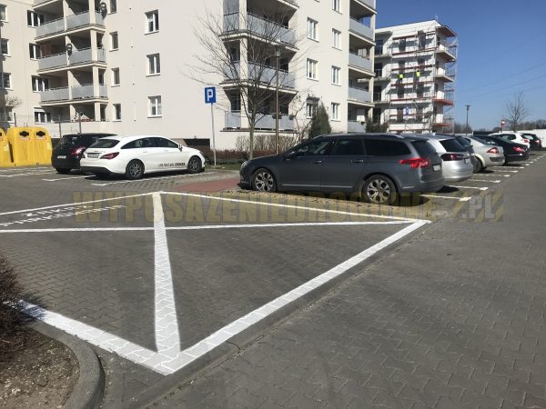 oznakowanie-poziome-parking-poznan-wyposazenie-drogowe